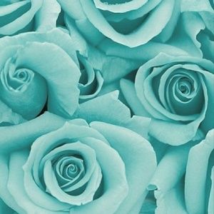 Meet your Posher, Alyona